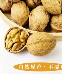 Alternative view of 老树干核桃