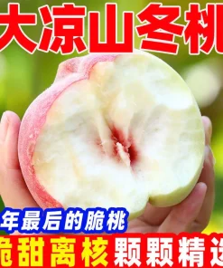 正宗大凉山冬桃映霜红大果
