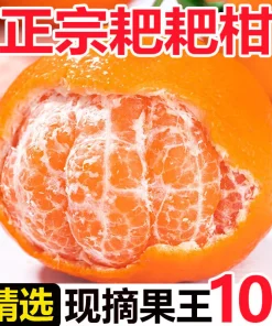 耙耙柑四川橘子