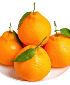 Alternative view of 耙耙柑四川橘子