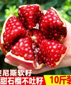 Alternative view of 四川会理石榴